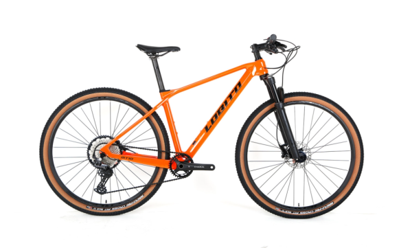 Bicicleta Lobito MT10 29"