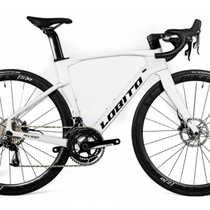 Bicicleta Lobito RV10R