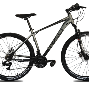 Bicicleta Rali A1 29″