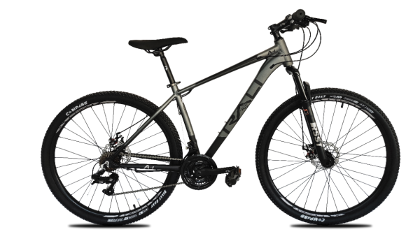 Bicicleta Rali A1 29"