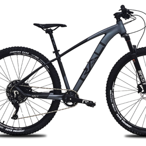 Bicicleta Rali ADVII 29″