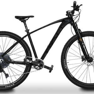 Bicicleta Rali ADV-I 29″