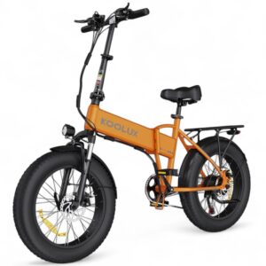 Bicicleta eléctrica KOOLUX BK10S 250W 48V 13AH