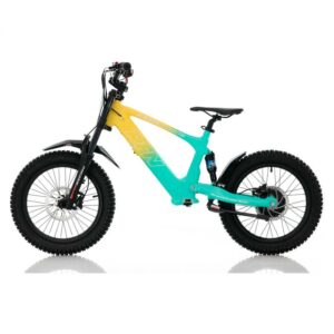 Bicicleta eléctrica sin pedales 500W Roan RFN Evo Racing 18″