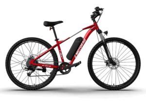 E Motorad T- Rex Air Hydro