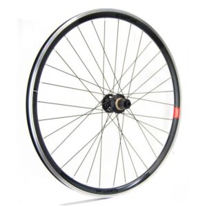 Gurpil New DPX Disc