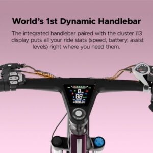 E Motorad T-Rex Pro 29