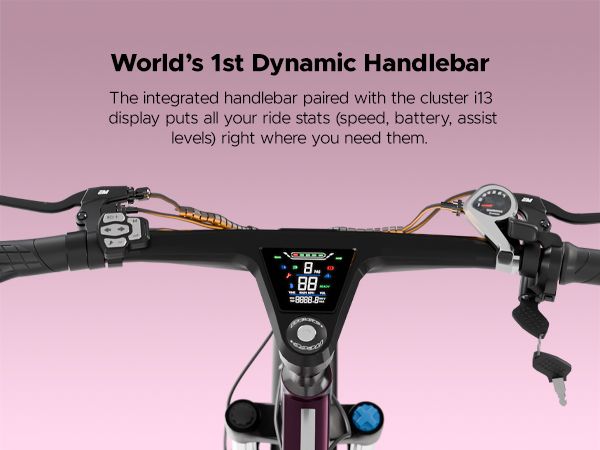 E Motorad T-Rex Pro 29