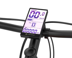E Motorad Display T-Rex