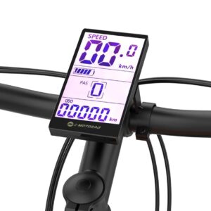 E Motorad Display T-Rex