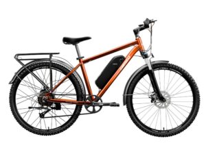 E Motorad T-Rex Pro 27.5